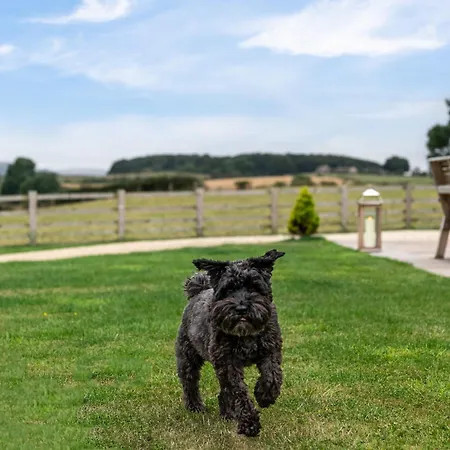 4 Bed In Bedale 80704 *